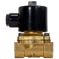 v2 220VACRoSolenoidValveModel2W160156 mz